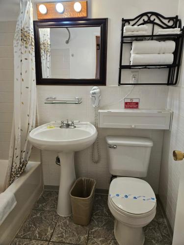 a bathroom with a sink and a toilet and a mirror at American Inn Motel Canon City in Canon City