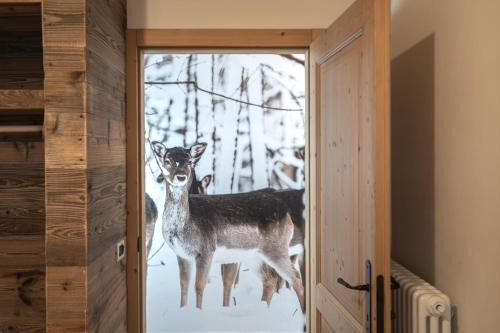 two deer standing outside of a door at Villa la Dama del Lago in Molveno