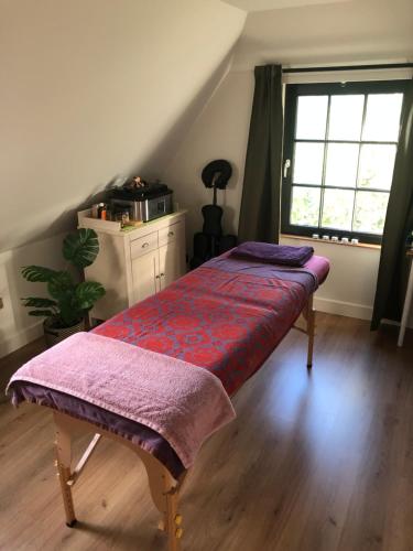 Lázně a/nebo wellness v ubytování Het mezennest