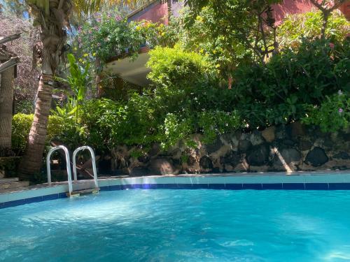 a swimming pool in a yard with trees and plants at Fabuleuse Villa Keur Bibou in Dakar