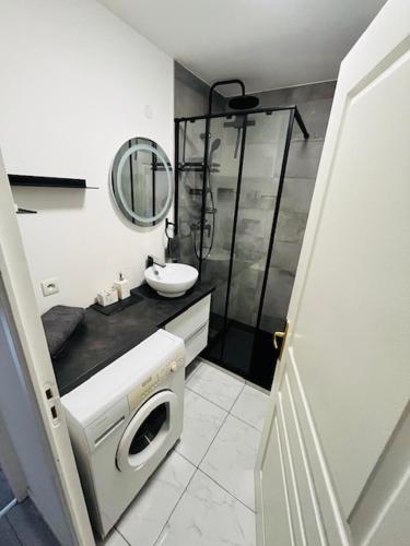une salle de bain avec douche et machine à laver dans l'établissement Coloc City Center - 2 chambres, à Annemasse
