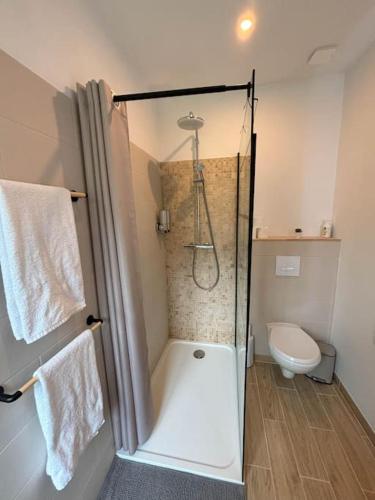 une salle de bain avec douche et toilettes dans l'établissement Studio Bois flotté Cherbourg Netflix Parking, à Cherbourg en Cotentin