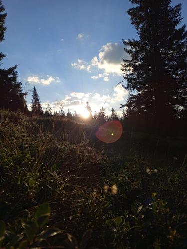 a frisbee in the grass with the sun in the background at Pension Sonnhof in Radstadt