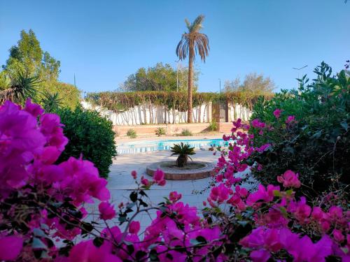 Lux Gardenhouse pool WiFi Private garden Hurghada