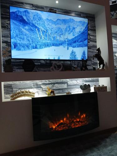 TV a/nebo společenská místnost v ubytování Apartman Suzii