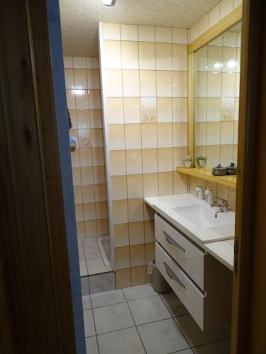 ein Badezimmer mit Waschbecken, Spiegel und Dusche in der Unterkunft Profiter du calme de la montagne vosgienne in Saulxures-sur-Moselotte