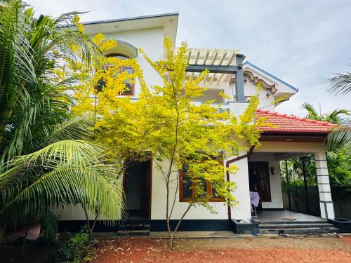 a small yellow tree in front of a house at Avanthika Holiday INN in Jaffna