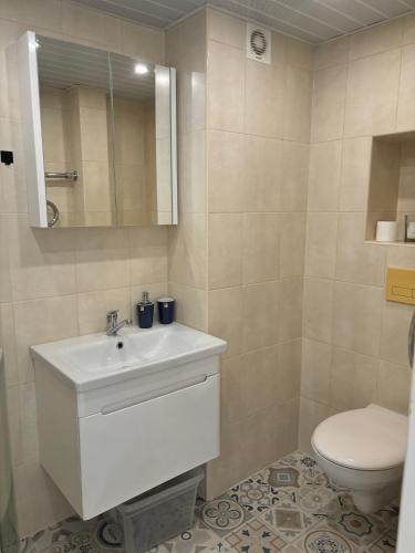 Koupelna v ubytování Wellcome Jaama Apartment