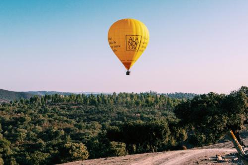 a yellow hot air balloon flying over a forest at Herdade Dos Barros in Terena