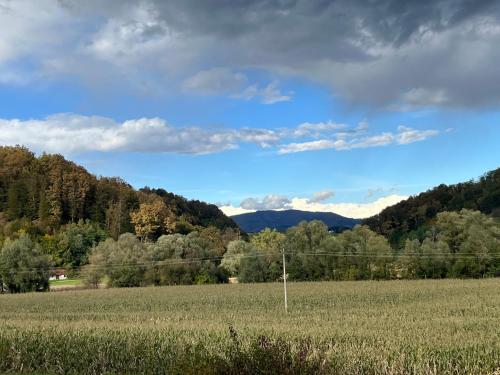 Naturlandschaft in der Nähe der Ferienwohnung