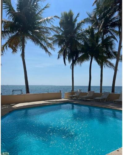 a swimming pool with palm trees and the ocean at Loft Holp in Cancún