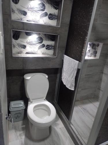 a bathroom with a toilet and a shower at Apartamento hermoso en Ipiales frontera con ecuador in Ipiales