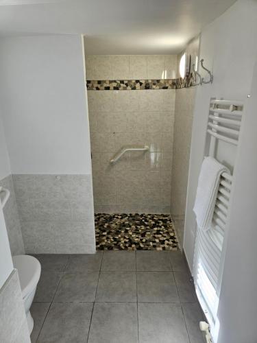 une salle de bain avec douche et toilettes dans l'établissement La Maison d'Alex, à Arles