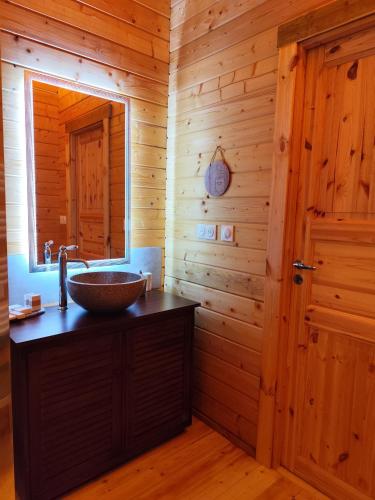 une salle de bain avec un lavabo et un miroir dans l'établissement Le chalet Péi, à Marsaneix