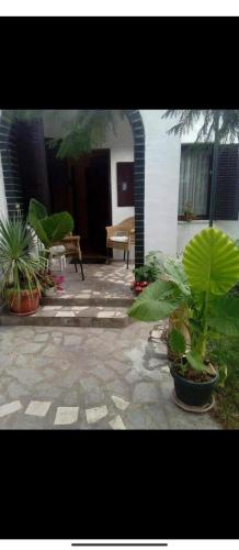 a courtyard with potted plants in front of a building at Apartments Forest in Belgrade