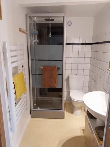 a bathroom with a shower and a toilet and a sink at La P'tite Maison in Dampierre-sur-Linotte