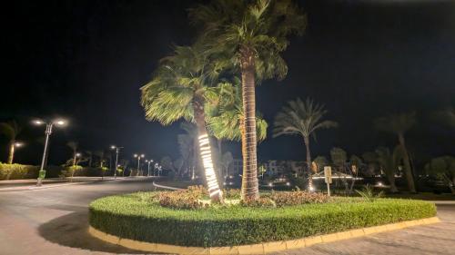two palm trees on a street at night at Golf Heights Resort - Sea and Mountain View - Free WIFI - Sharm El Sheikh in Sharm El Sheikh