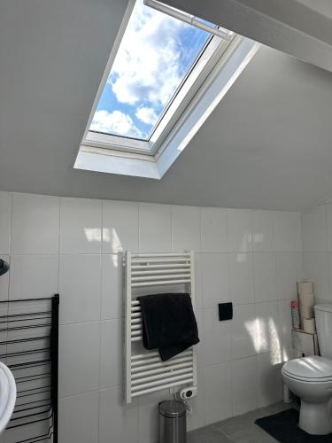 - une lucarne dans la salle de bains pourvue de toilettes et d'une fenêtre dans l'établissement Jireh Loft Limeil Brévannes studio Privé, à Limeil-Brévannes