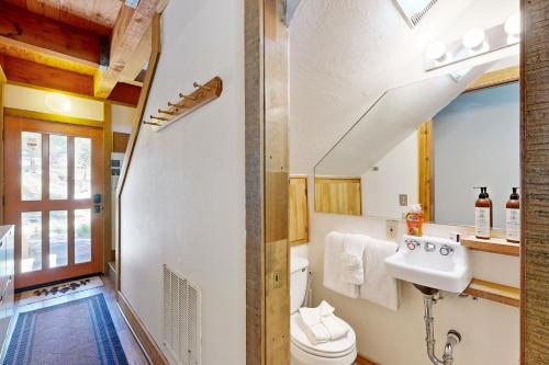 a bathroom with a toilet and a sink at Gold Bend Escape in Truckee