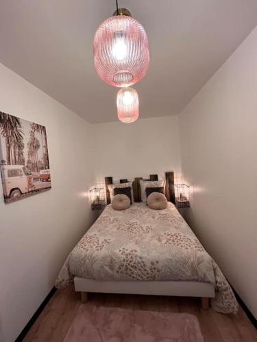 une chambre avec un lit et un lustre dans l'établissement Atelier du spa jacuzzi illimité proche du mont saint Michel, à Avranches