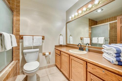 a bathroom with a toilet and a sink and a mirror at Ski-In/Ski-Out Brian Head Studio in Brian Head
