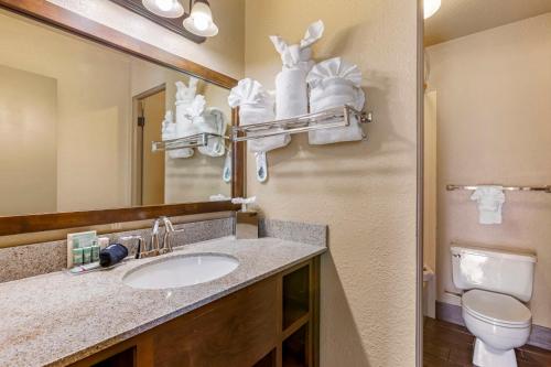 a bathroom with a sink and a toilet and a mirror at Best Western Sunset Inn in Cody