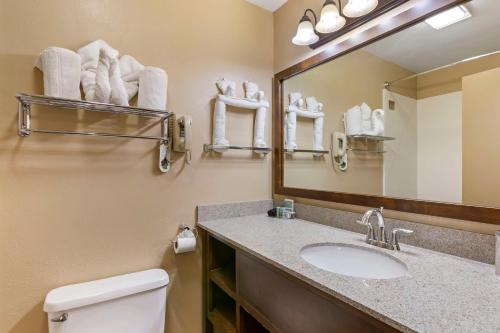 a bathroom with a sink and a mirror and a toilet at Best Western Sunset Inn in Cody