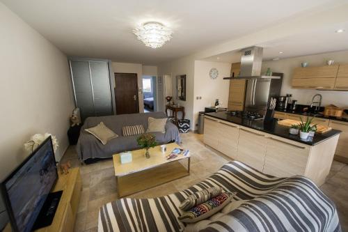 a living room with a couch and a tv and a kitchen at L'Appartement in Beaune