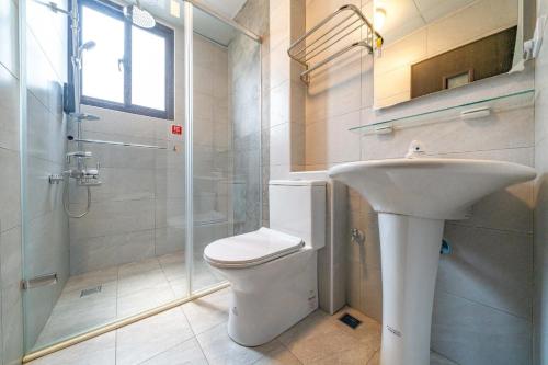 a bathroom with a white toilet and a sink at 玉里木色香民宿 in Yuli