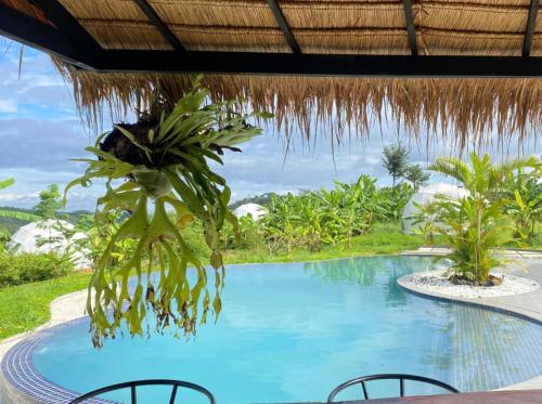 a view of a swimming pool in a resort at Breathe Wild in Phumĭ Pu Rôdêt Leu