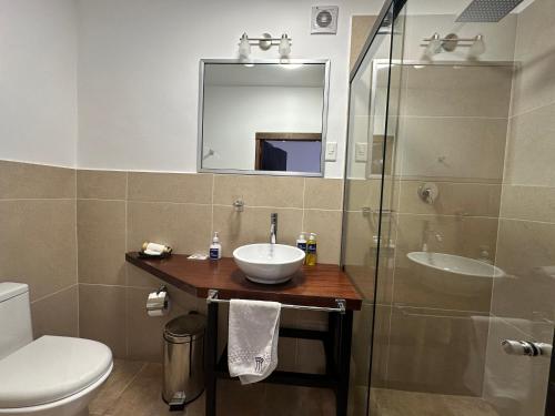 a bathroom with a toilet and a sink and a shower at El Museo Hotel Boutique in La Paz