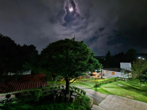 a tree in a yard at night with a storm at La Cabaña Zacatlán in Zacatlán
