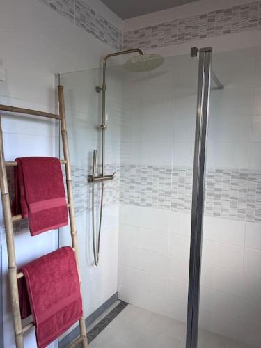 La salle de bains est pourvue d'une douche et de serviettes rouges. dans l'établissement À la Bonne Adresse, à Mercatel