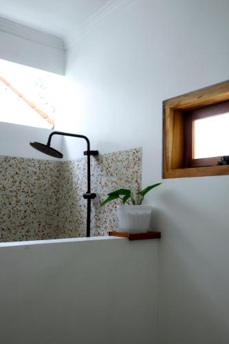 a plant sitting on a shelf in a bathroom at Rumah Markisa Batukaras in Batukaras