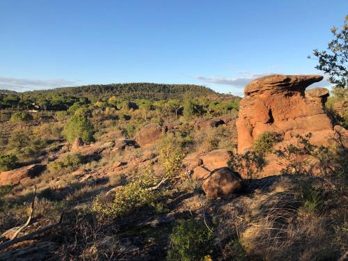 a view of a rocky mountain with trees and bushes at Sous les pins parasols in Vidauban