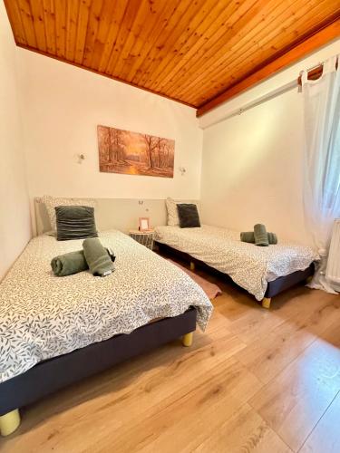 deux lits dans une chambre avec un plafond en bois dans l'établissement Le refuge de la Vallée - pleine nature - 4 guests, à Barr