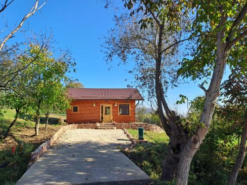 a house with a pathway leading to it at Cabana Laura in Tîrnăveni