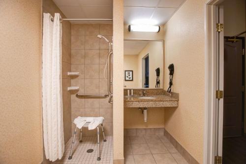 a bathroom with a shower and a sink at Comfort Inn & Suites St Paul Northeast in Vadnais Heights