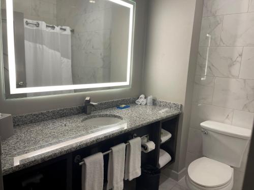 a bathroom with a sink and a toilet and a mirror at Holiday Inn Express & Suites Gonzales by IHG in Gonzales