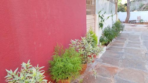 a red wall with potted plants next to a building at Golden Nest Home Stay in Mysore