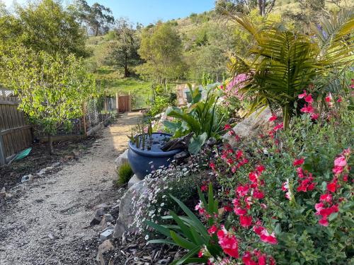 Taman di luar Stunning water view home in Hobart