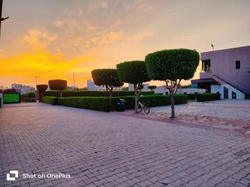 een fiets geparkeerd op een stenen weg met bomen bij Apple Resort & Restaurant in Jodhpur