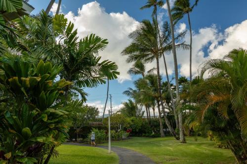 a person walking down a path through a park with palm trees at Plantation Hale Suites in Kapaa