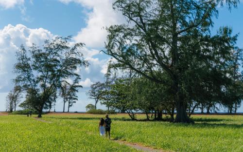 a couple standing in a field next to a tree at Plantation Hale Suites in Kapaa