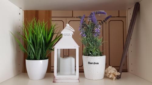 a white lantern and two potted plants on a shelf at Sea la vie - Holiday house in Nettuno