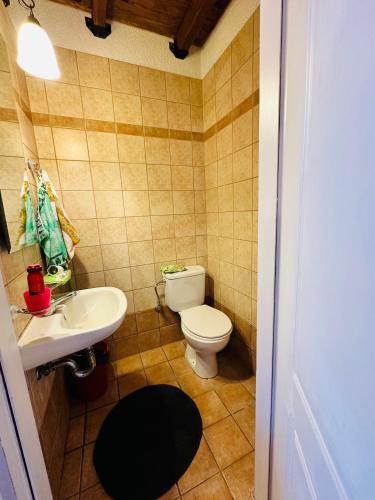 a bathroom with a toilet and a sink at CHALET MARIA livadi in Arachova