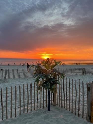 Les Obiones, vue latérale mer, Fort Mahon Plage, magnifique studio cabine 4p, avec balcon , parking privé gratuit, wifi, classé 2 étoiles, exposition plein sud en Baie de Somme