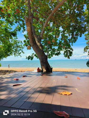 a tree on a sidewalk next to the beach at Villa loved beach 2 in Ao Nam Mao