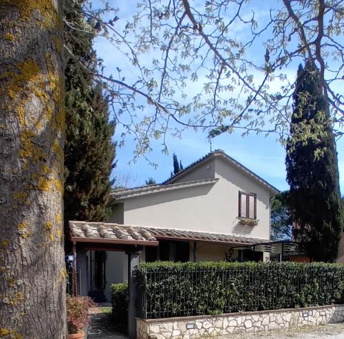 Foto I Gelsi di Colombata Locazione turistica breve in campagna 6