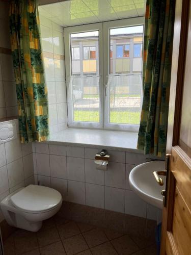 a bathroom with a toilet and a sink and a window at Haus Peter in Murau